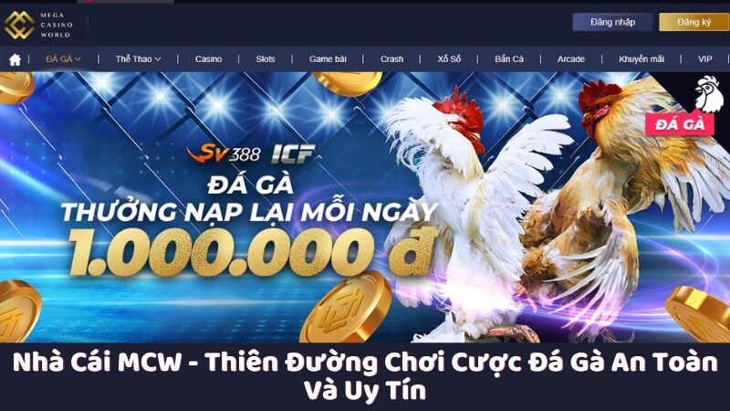 Chơi cược đá gà trực tiếp tại nhà cái MCW có an toàn không?