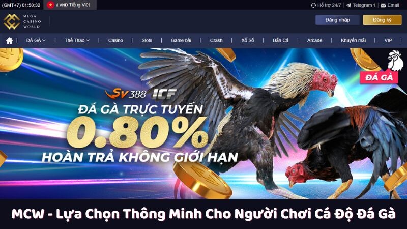 Sứ mệnh và cam kết với người chơi của MCW