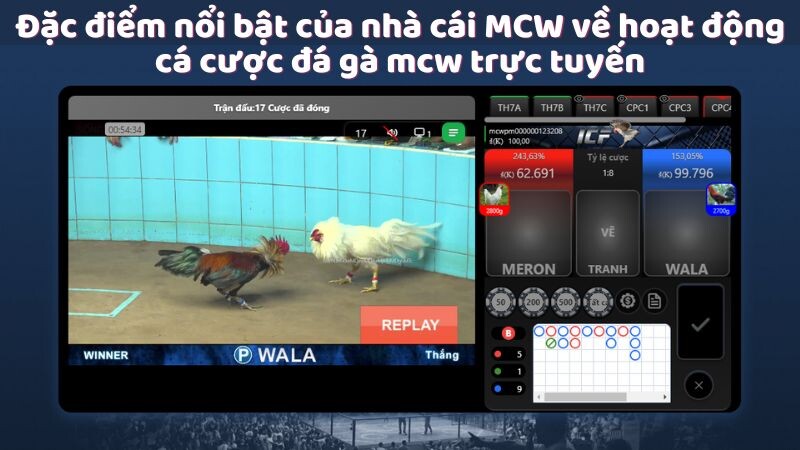 Đặc điểm nổi bật của nhà cái MCW về hoạt động cá cược đá gà mcw trực tuyến