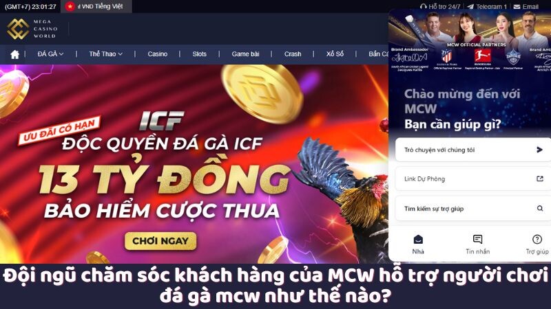 Đội ngũ chăm sóc khách hàng của MCW hỗ trợ người chơi đá gà mcw như thế nào?