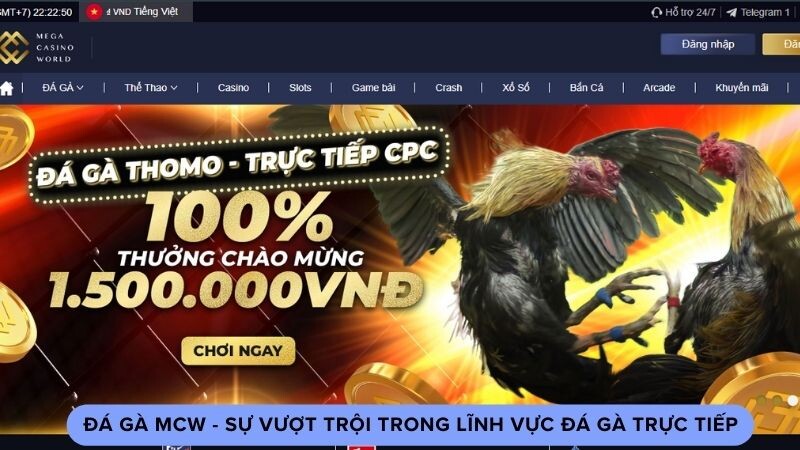 Tìm hiểu đôi nét về đá gà MCW